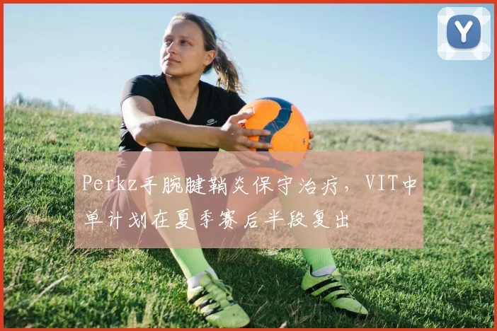 Perkz手腕腱鞘炎保守治疗，VIT中单计划在夏季赛后半段复出